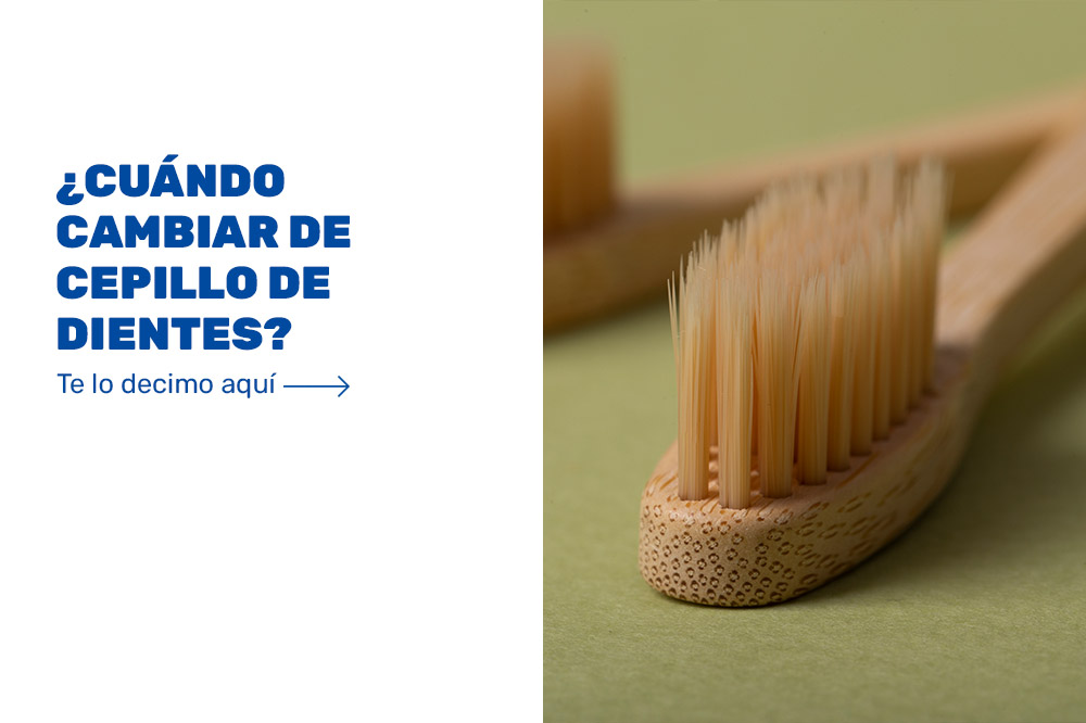 Consejos para cuidar tu cepillo de dientes y prevenir la aparición de  bacterias - Foto 1